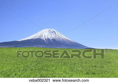 Mount Fuji View Large Photo Image Stock Image - Mount Fuji. Fotosearch