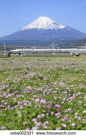 Mount Fuji View Large Photo Image Stock Image - Mount Fuji. Fotosearch