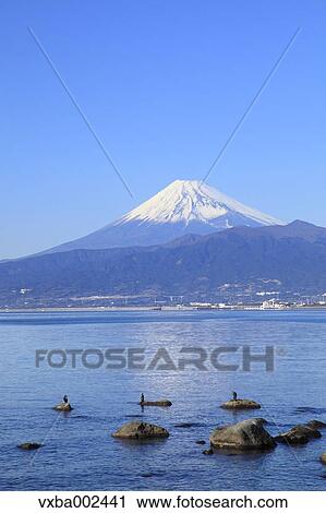 Mount Fuji View Large Photo Image Stock Image - Mount Fuji. Fotosearch