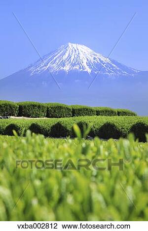 Mount Fuji View Large Photo Image Stock Image - Mount Fuji. Fotosearch