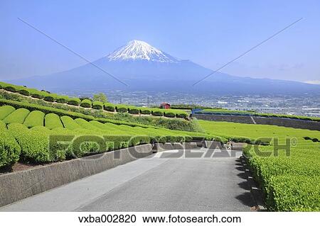 Mount Fuji View Large Photo Image Stock Image - Mount Fuji. Fotosearch
