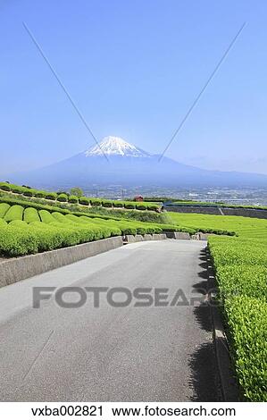 Mount Fuji View Large Photo Image Stock Image - Mount Fuji. Fotosearch