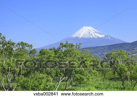 Mount Fuji View Large Photo Image Stock Image - Mount Fuji. Fotosearch