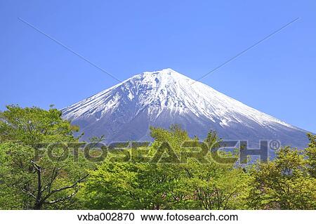Mount Fuji View Large Photo Image Stock Image - Mount Fuji. Fotosearch