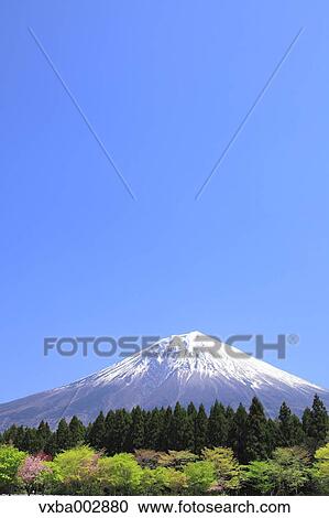 Mount Fuji View Large Photo Image Stock Image - Mount Fuji. Fotosearch