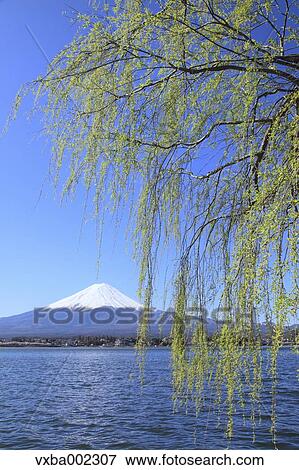 Stock Photo - Mount Fuji. Fotosearch