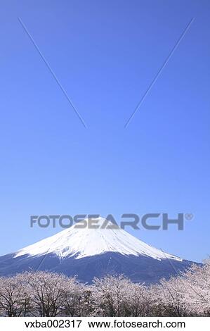 Mount Fuji View Large Photo Image Stock Photo - Mount Fuji. Fotosearch