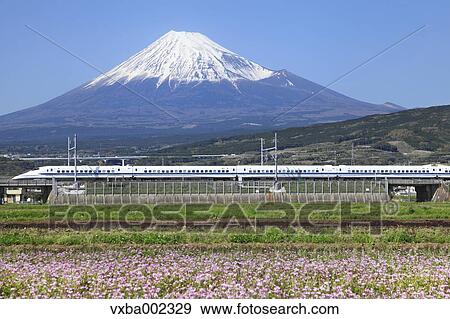 Mount Fuji View Large Photo Image Stock Photo - Mount Fuji. Fotosearch