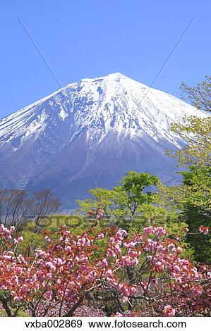 Mount Fuji View Large Photo Image Stock Photo - Mount Fuji. Fotosearch