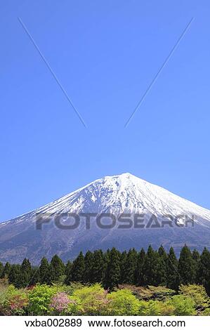 Stock Photo - Mount Fuji. Fotosearch