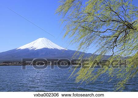 Mount Fuji View Large Photo Image Stock Photograph - Mount Fuji. Fotosearch