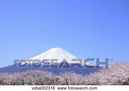 Mount Fuji View Large Photo Image Stock Photograph - Mount Fuji. Fotosearch