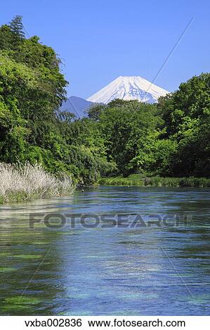 Mount Fuji View Large Photo Image Stock Photograph - Mount Fuji. Fotosearch