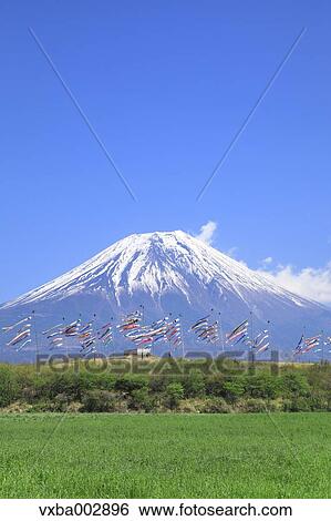 Mount Fuji View Large Photo Image Stock Photograph - Mount Fuji. Fotosearch