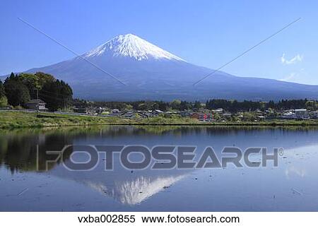 Mount Fuji View Large Photo Image Stock Photography - Mount Fuji. Fotosearch