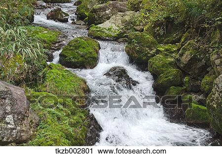 Mountain stream View Large Photo Image Stock Image - Mountain stream. Fotosearch