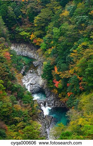 Stock Photograph - Mountain stream. Fotosearch