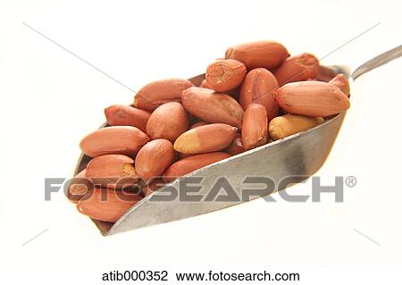 Peanuts View Large Photo Image Stock Image - Peanuts. Fotosearch