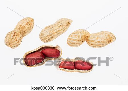 Stock Image - Peanuts. Fotosearch