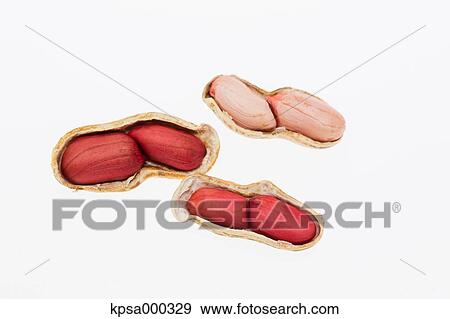 Peanuts View Large Photo Image Stock Photo - Peanuts. Fotosearch