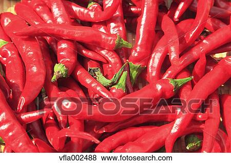 Pepper View Large Photo Image Stock Photo - Pepper. Fotosearch
