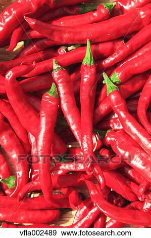 Pepper View Large Photo Image Stock Photo - Pepper. Fotosearch