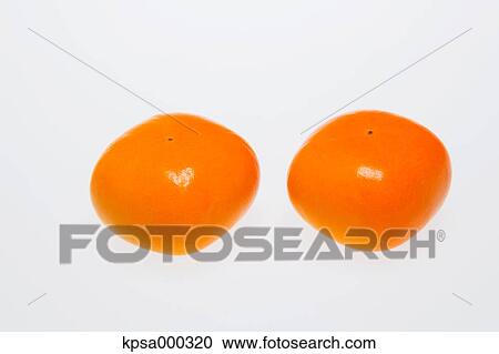 Persimmon View Large Photo Image Stock Image - Persimmon. Fotosearch