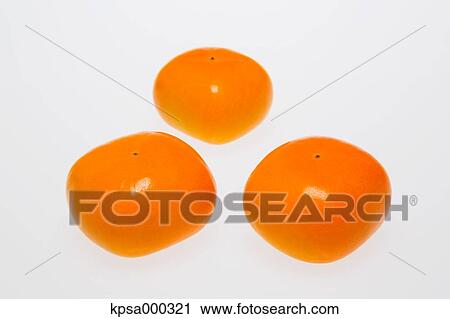 Persimmon View Large Photo Image Stock Image - Persimmon. Fotosearch