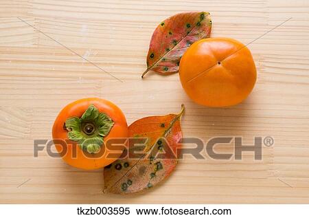 Stock Photography - Persimmon. Fotosearch