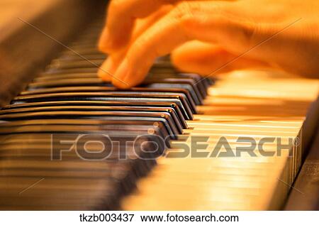Playing the piano View Large Photo Image Stock Photo - Playing the piano. Fotosearch