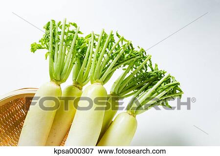 Radish View Large Photo Image Stock Photo - Radish. Fotosearch