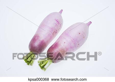 Stock Photo - Radish. Fotosearch
