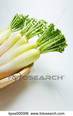 Radish View Large Photo Image Stock Photograph - Radish. Fotosearch
