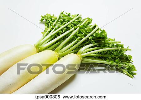 Radish View Large Photo Image Stock Photography - Radish. Fotosearch