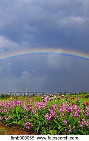 Rainbow View Large Photo Image Stock Photography - Rainbow. Fotosearch