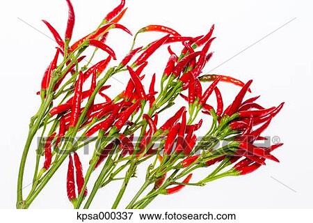 Stock Photo - Red pepper. Fotosearch