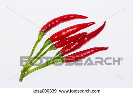 Stock Photo - Red pepper. Fotosearch