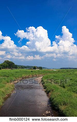 Rice fields and sky View Large Photo Image Picture - Rice fields and sky. Fotosearch