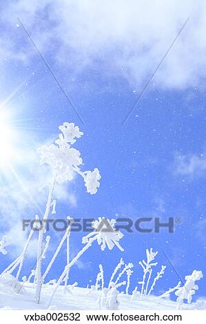 Rime and sky View Large Photo Image Stock Image - Rime and sky. Fotosearch