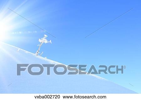 Rime and sky View Large Photo Image Stock Image - Rime and sky. Fotosearch