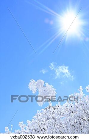 Rime and sky View Large Photo Image Stock Photo - Rime and sky. Fotosearch