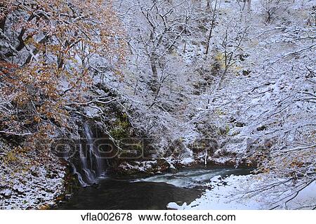 Rimed trees and waterfall View Large Photo Image Stock Photo - Rimed trees and waterfall. Fotosearch