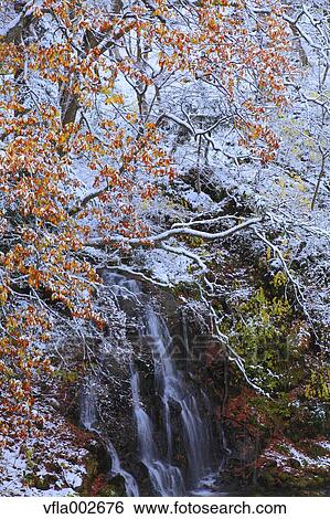 Stock Photograph - Rimed trees and waterfall. Fotosearch