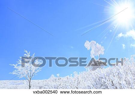 Rimed trees View Large Photo Image Stock Image - Rimed trees. Fotosearch