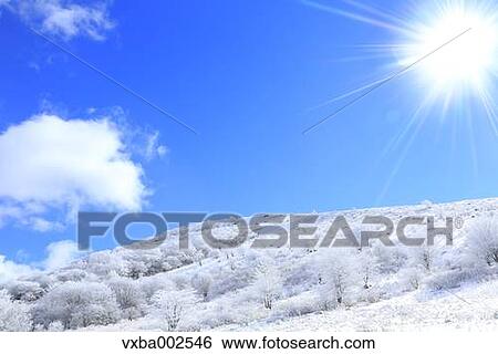 Rimed trees View Large Photo Image Stock Photograph - Rimed trees. Fotosearch