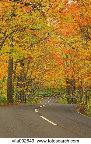 Road and Autumn trees View Large Photo Image Stock Photo - Road and Autumn trees. Fotosearch