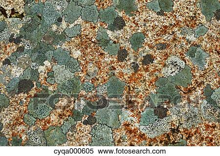Rock pattern View Large Photo Image Stock Photography - Rock pattern. Fotosearch
