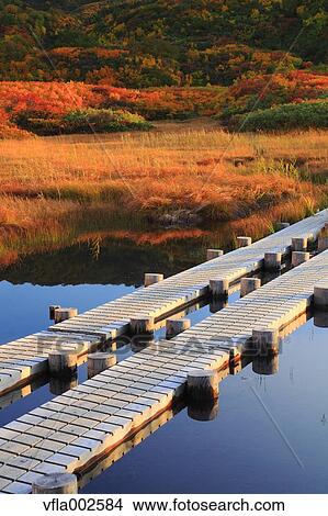 Ryugahara Wetlands, Akita Prefecture View Large Photo Image Picture - Ryugahara Wetlands, Akita Prefecture. Fotosearch