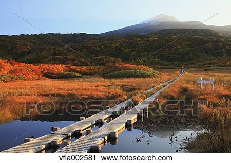 Stock Image - Ryugahara Wetlands, Akita Prefecture. Fotosearch