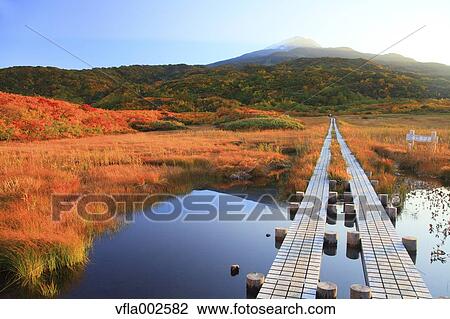 Ryugahara Wetlands, Akita Prefecture View Large Photo Image Stock Image - Ryugahara Wetlands, Akita Prefecture. Fotosearch